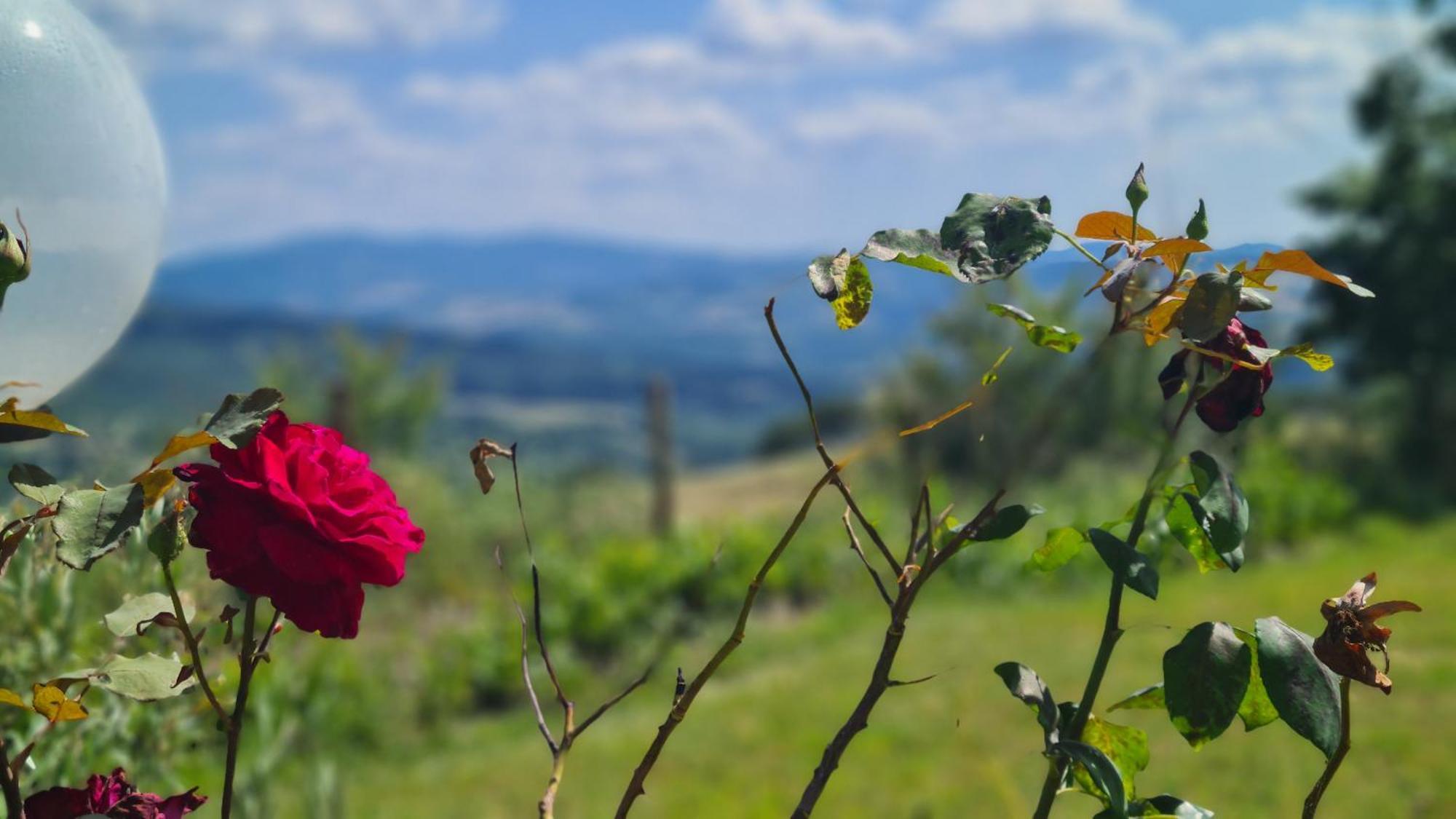 Appartamento Il Nido Volterra Exterior photo